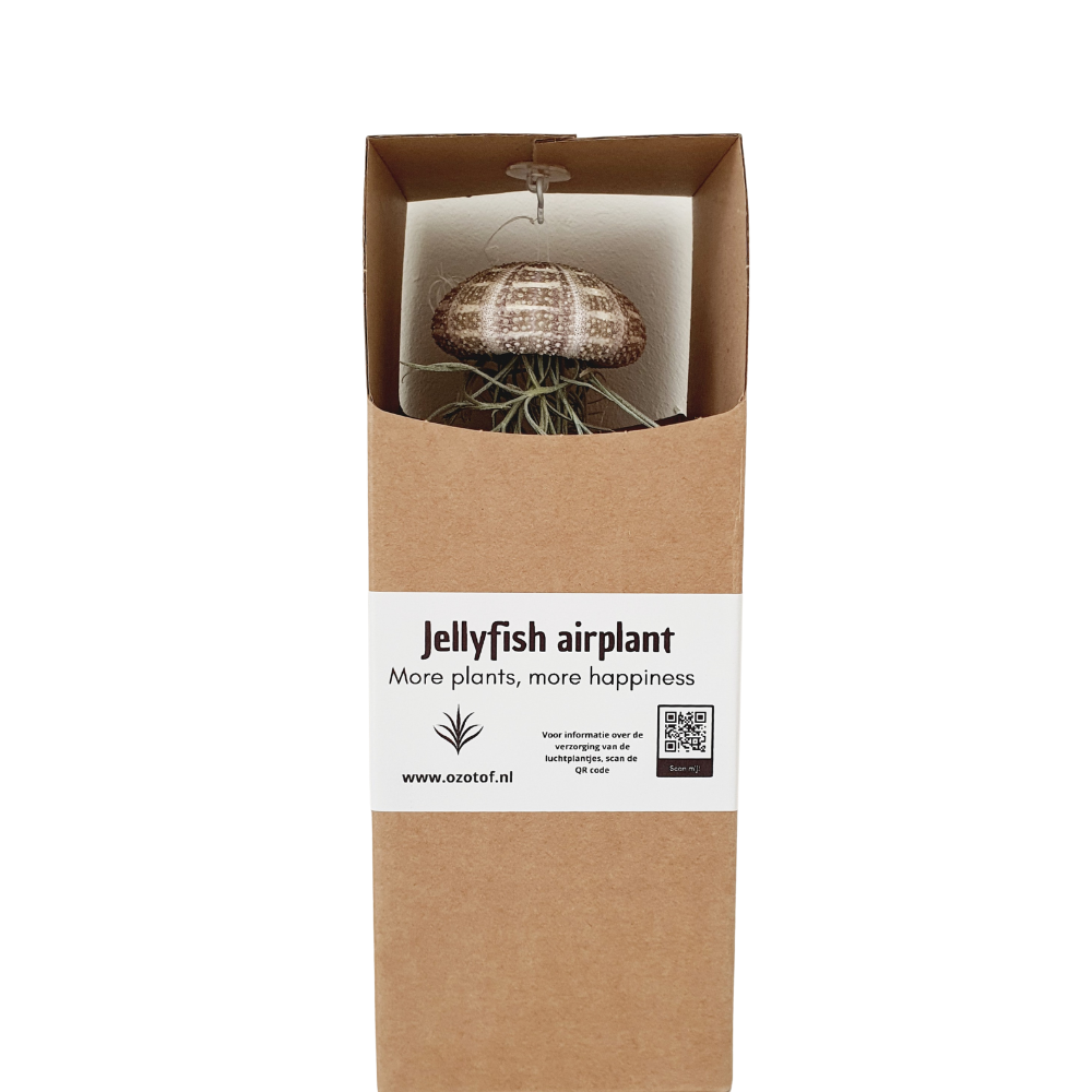 Cadeaudoos met Jellyfish airplantje