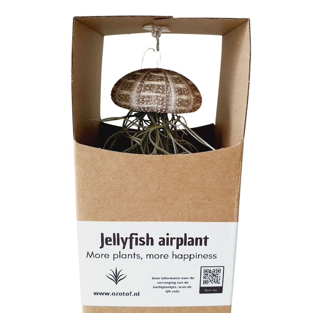 Cadeaudoos met Jellyfish airplantje