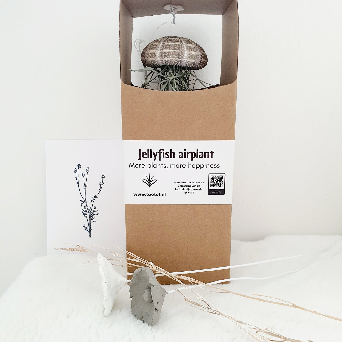 Cadeaudoos met Jellyfish airplantje