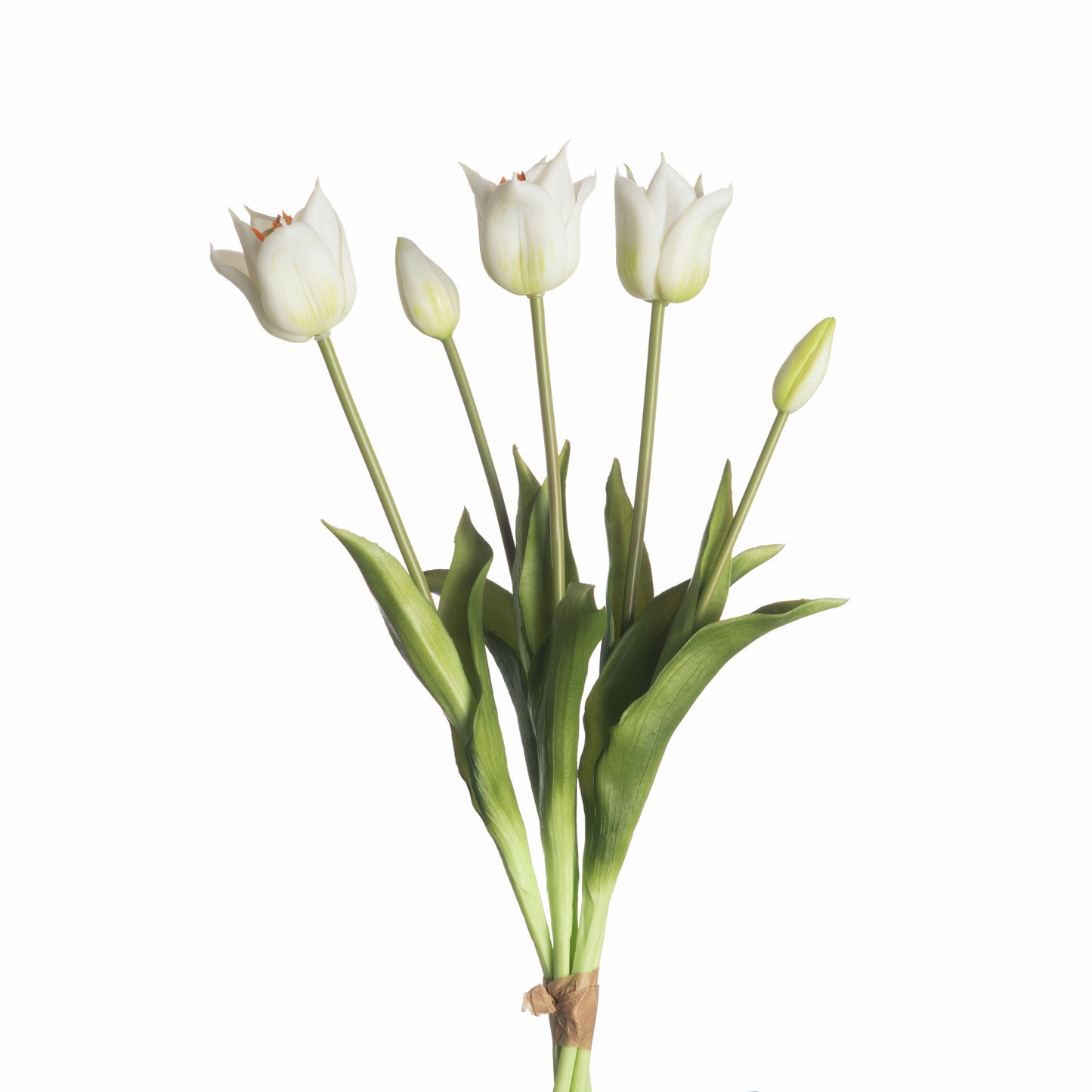 Real touch tulpen