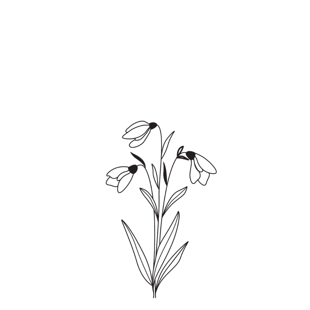 Raamfolie sneeuwklokje