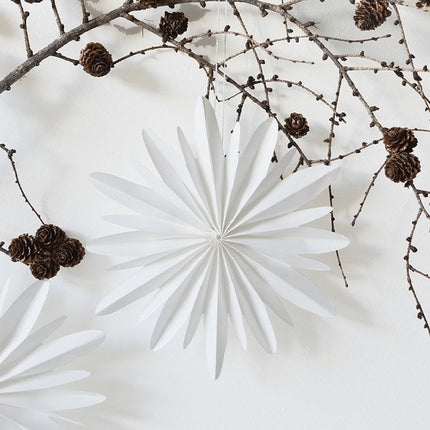 Collection image for: Kerst