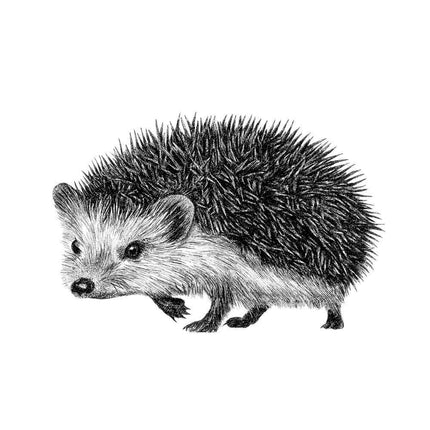 Egel muursticker