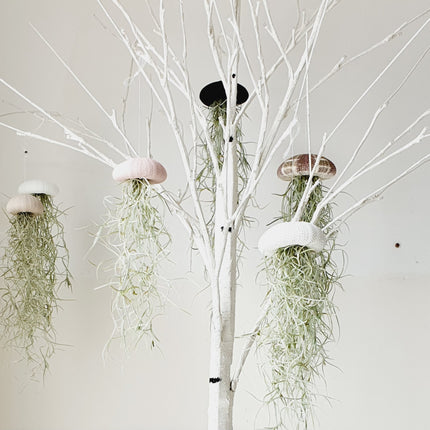 Jellyfish airplantje wit