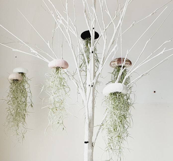 Jellyfish airplantje wit