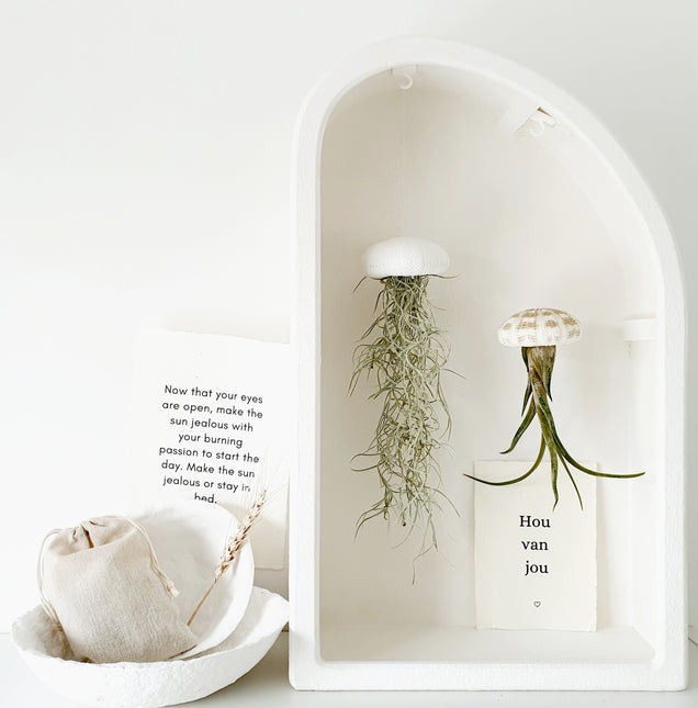 Jellyfish airplantje wit