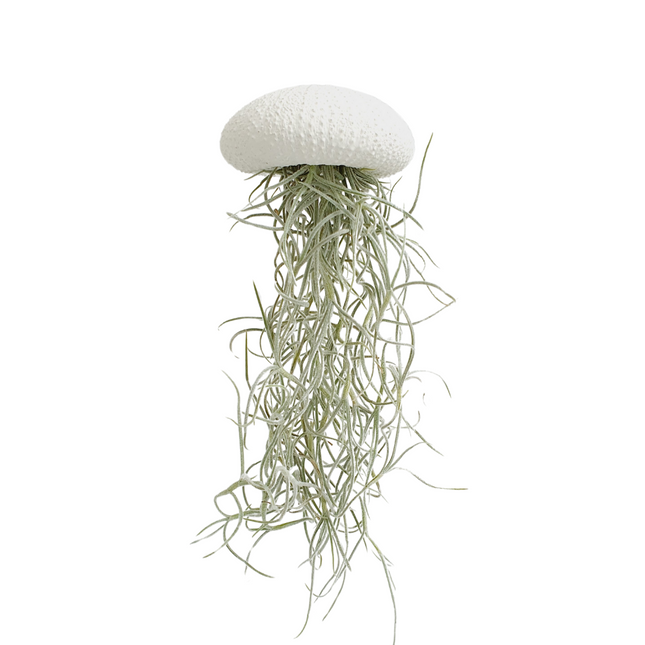 Jellyfish airplantje wit