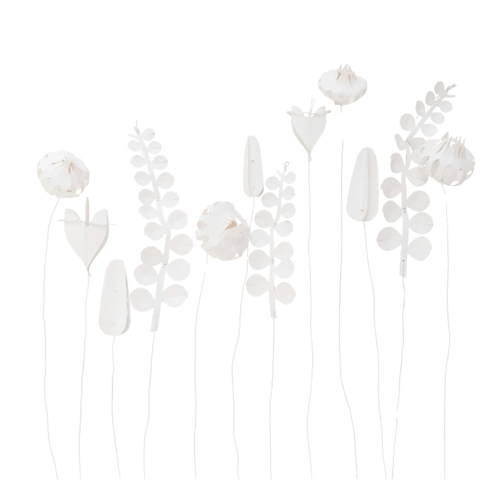 FIELD flowers – large - WHITE