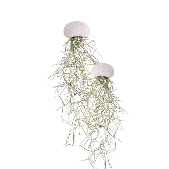 Jellyfish airplantje roze natural set van 2