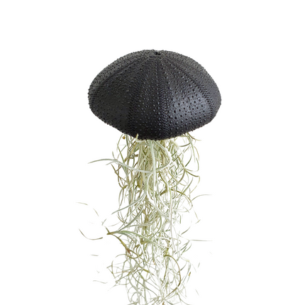 Jellyfish airplantje zwart large