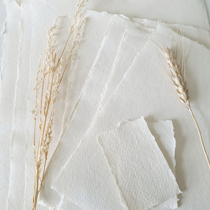 Handgeschept papier met illustratie egel