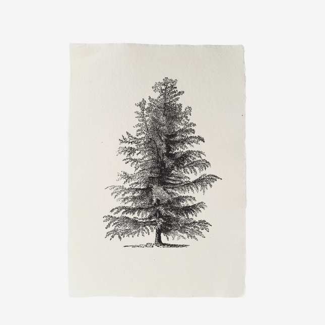 Handgeschept papier denneboom