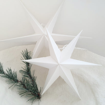 Kerststerren wit set van 2