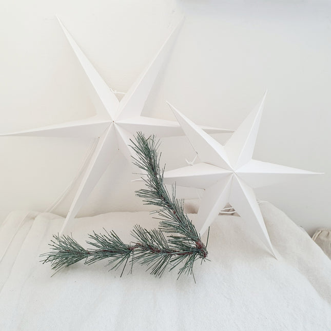 Kerststerren wit set van 2