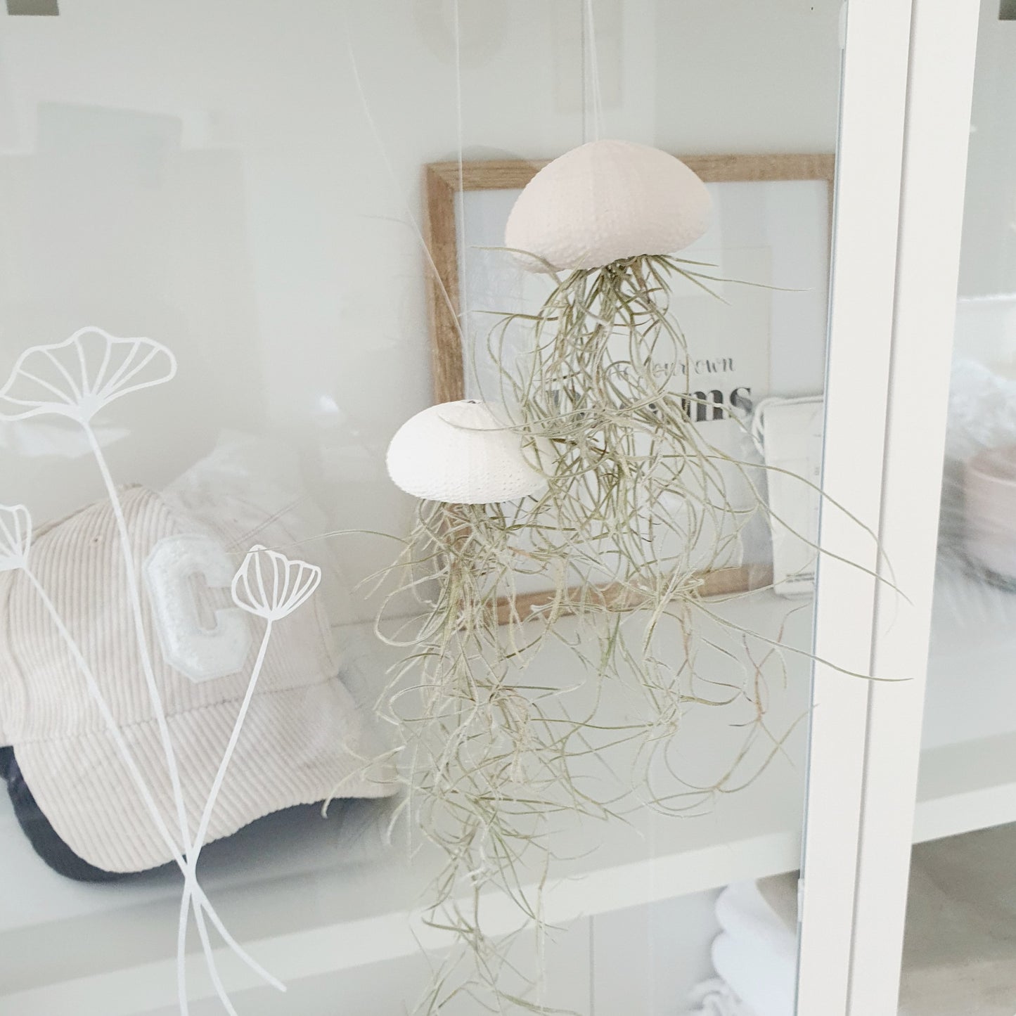 Jellyfish air plant white Medium