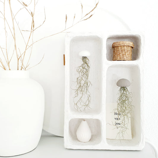 Pappmaché-Schrank mit 2 Pflanzen