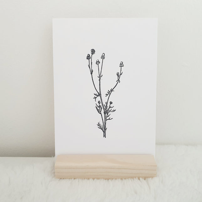 Vuren houten kaarthouder