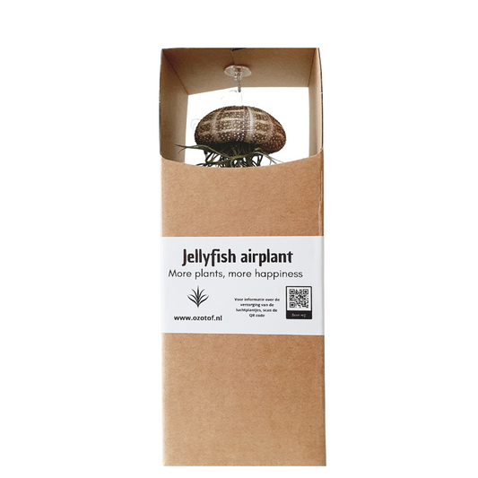 Cadeaudoos met Jellyfish airplantje