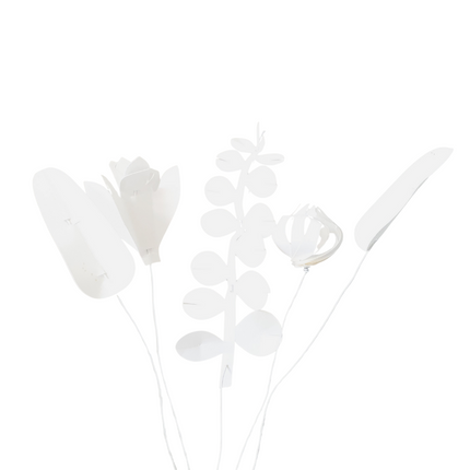 FIELD flowers – small white