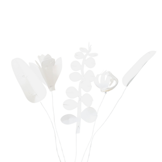 FIELD flowers – small white