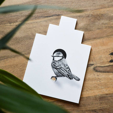 Pimpelmees met vogelhuisje