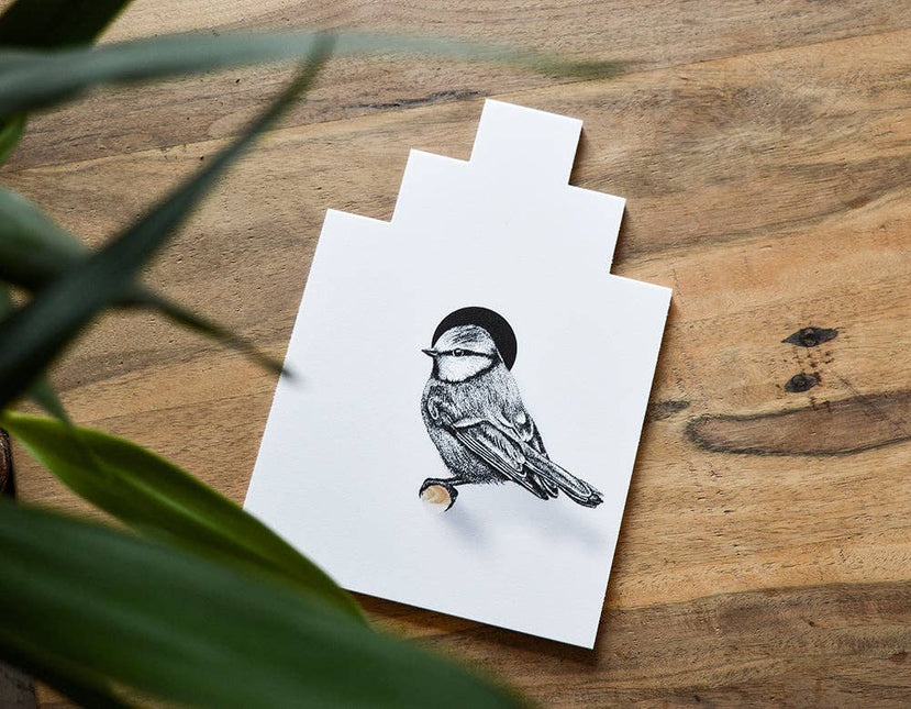 Pimpelmees met vogelhuisje