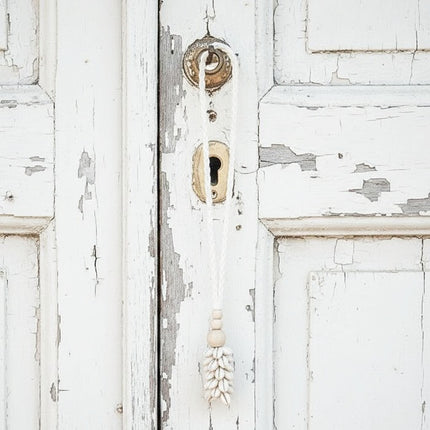Decorative shell hanger