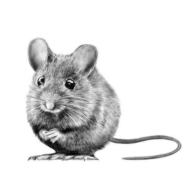 Wandaufkleber Waldmaus