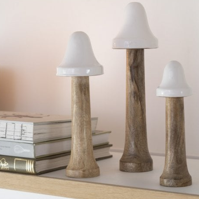 Set van 3 paddestoelen