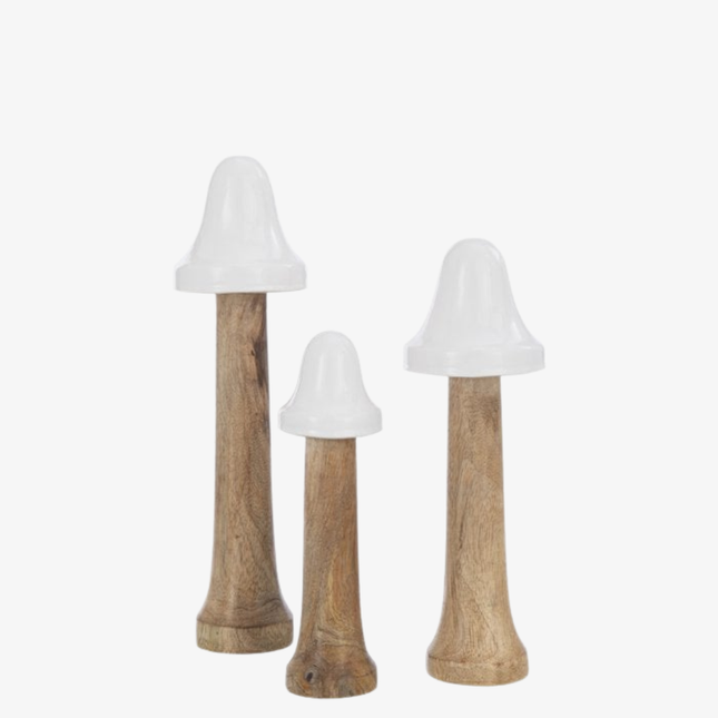 Set van 3 paddestoelen