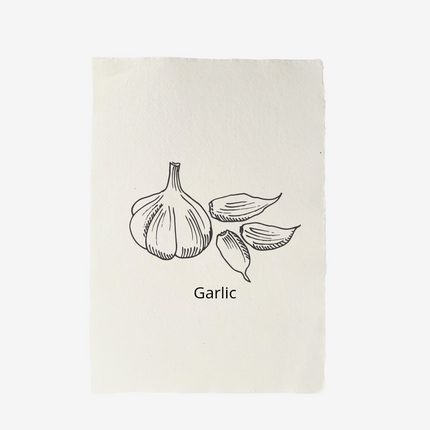 Handgeschept papier Garlic