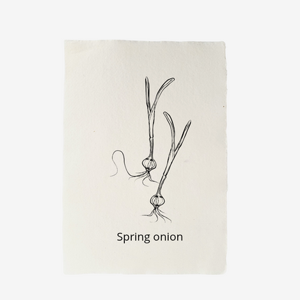 Handgeschept papier Spring Onion