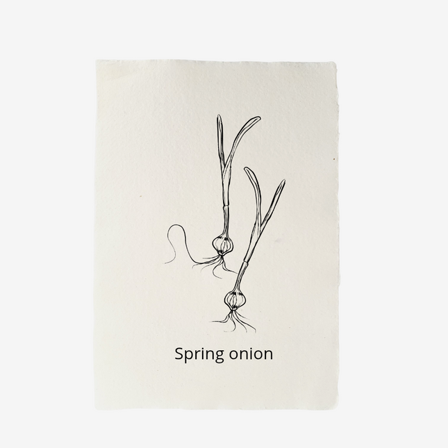Handgeschept papier Spring Onion