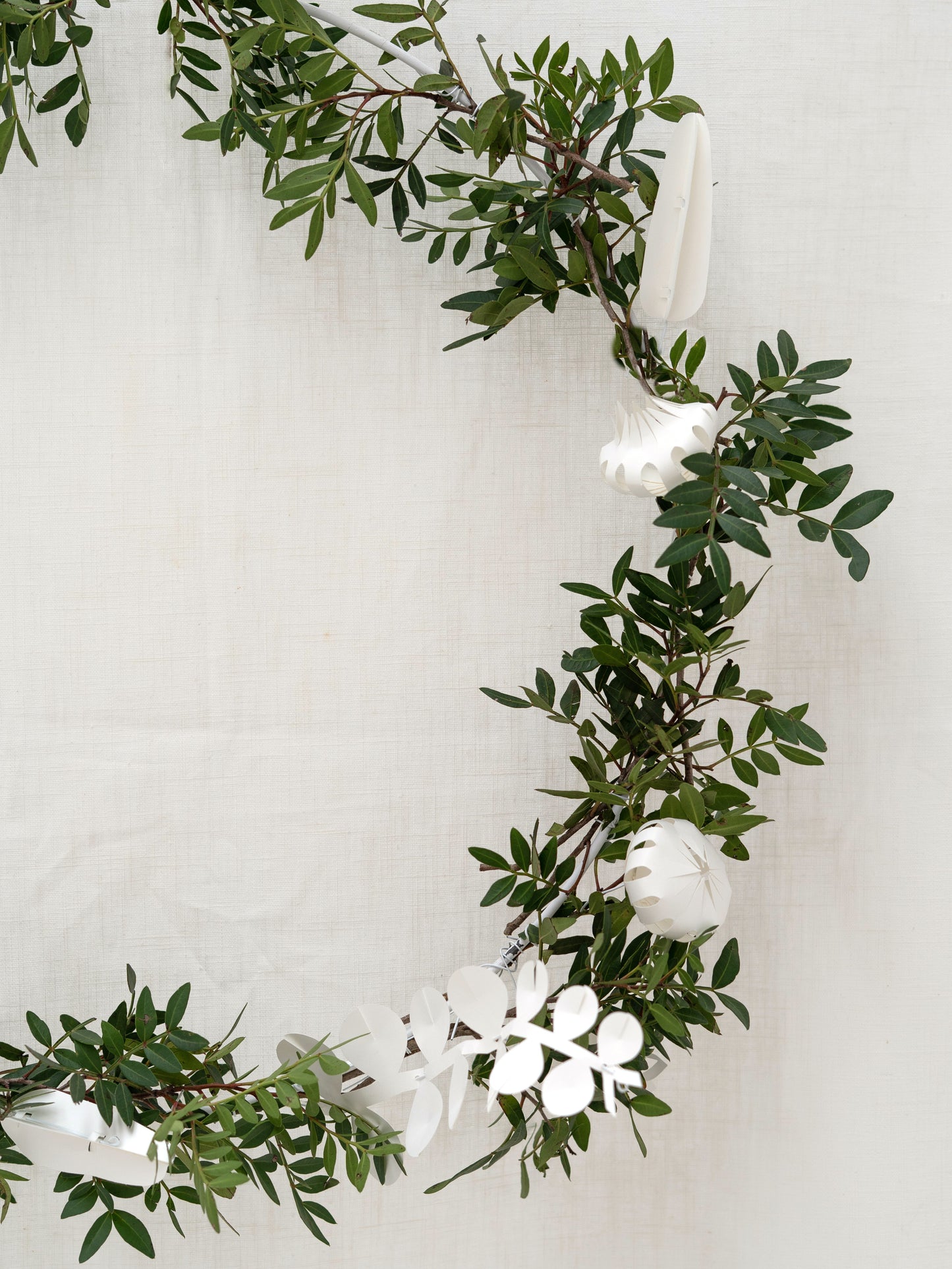 FIELD flowers – small white