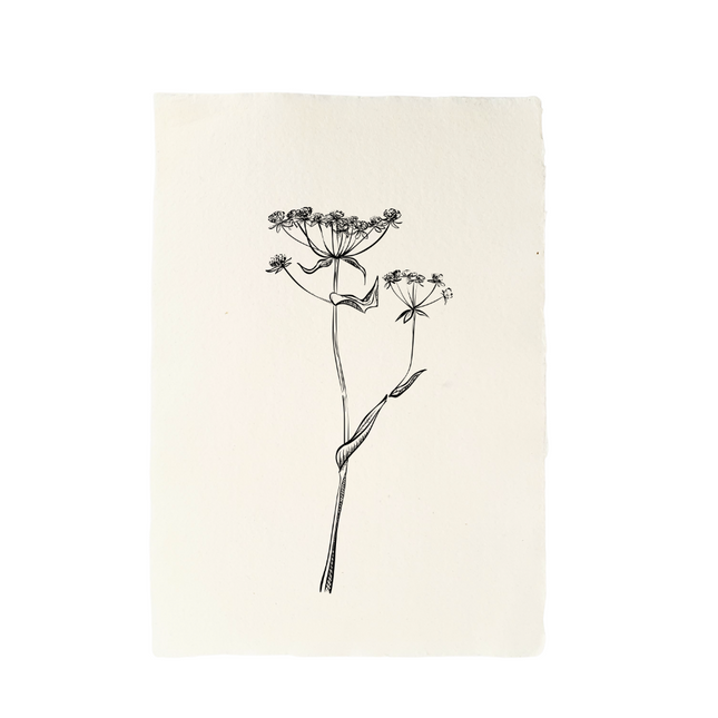 Handgeschept papier met illustratie fluitekruid