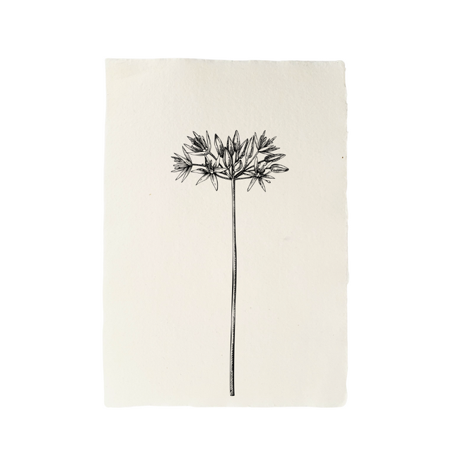 Handgeschöpftes Papier mit Igelillustration