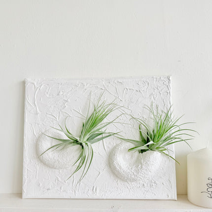 3D Schilderij met plantjes