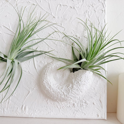 3D Schilderij met plantjes