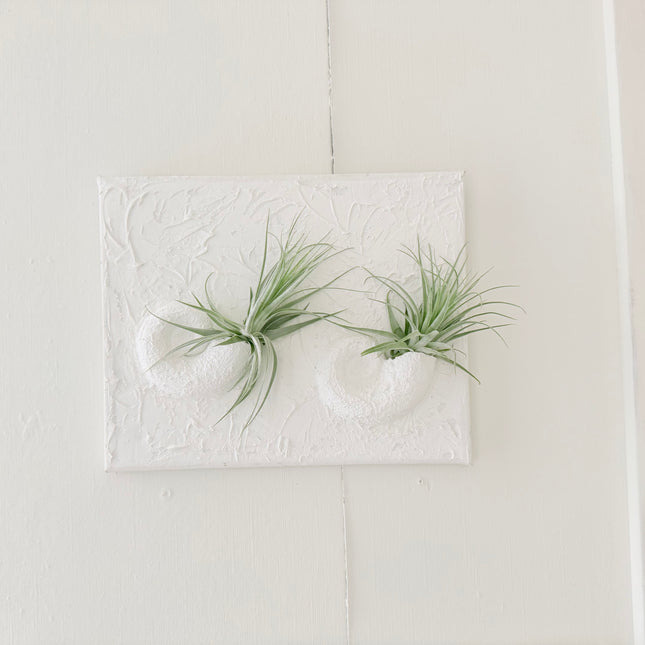 3D Schilderij met plantjes