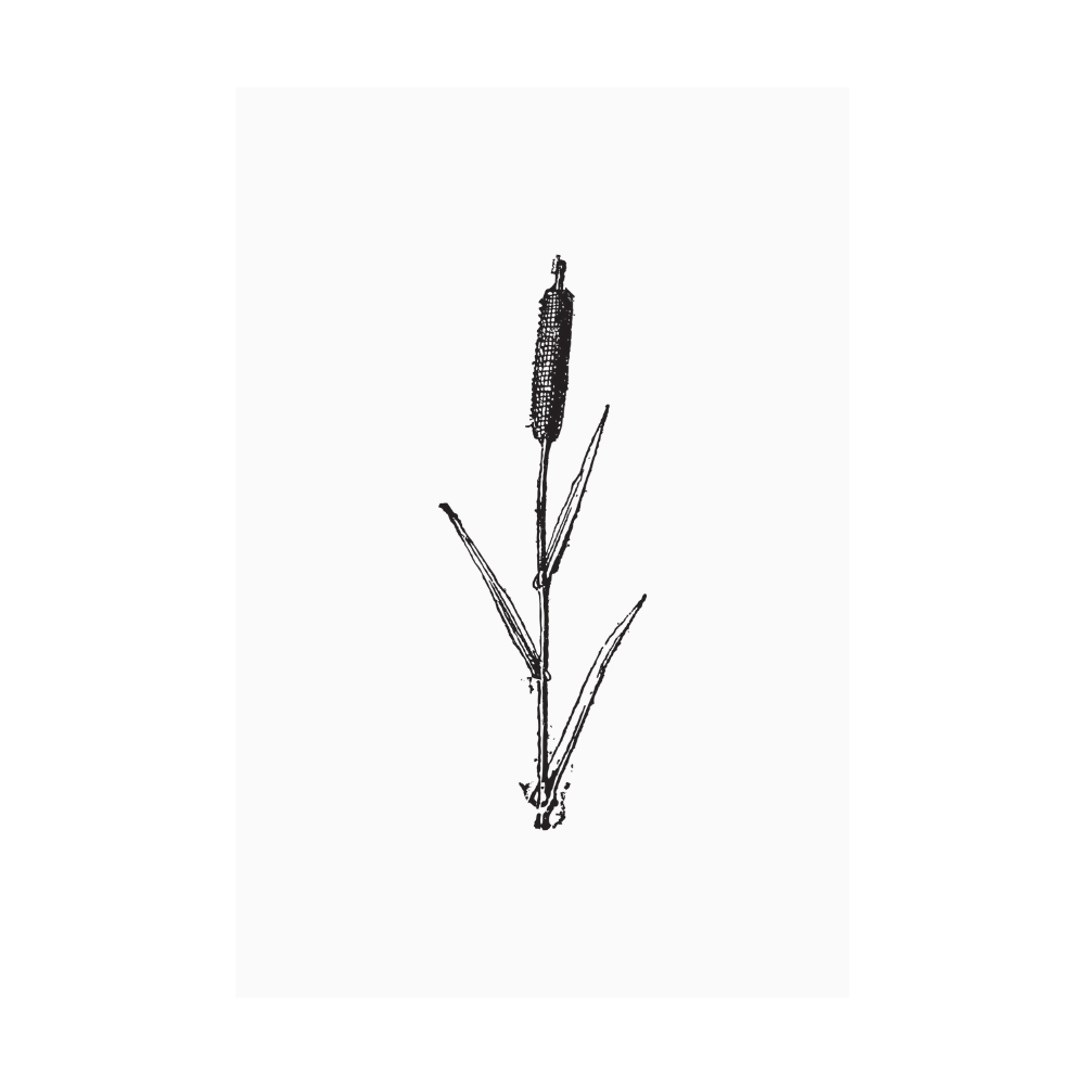 Kaart wit illustratie duiker