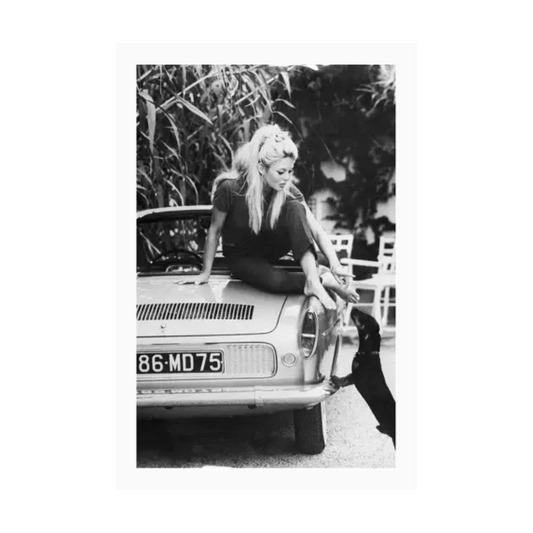 Kaart wit illustratie Brigit Bardot