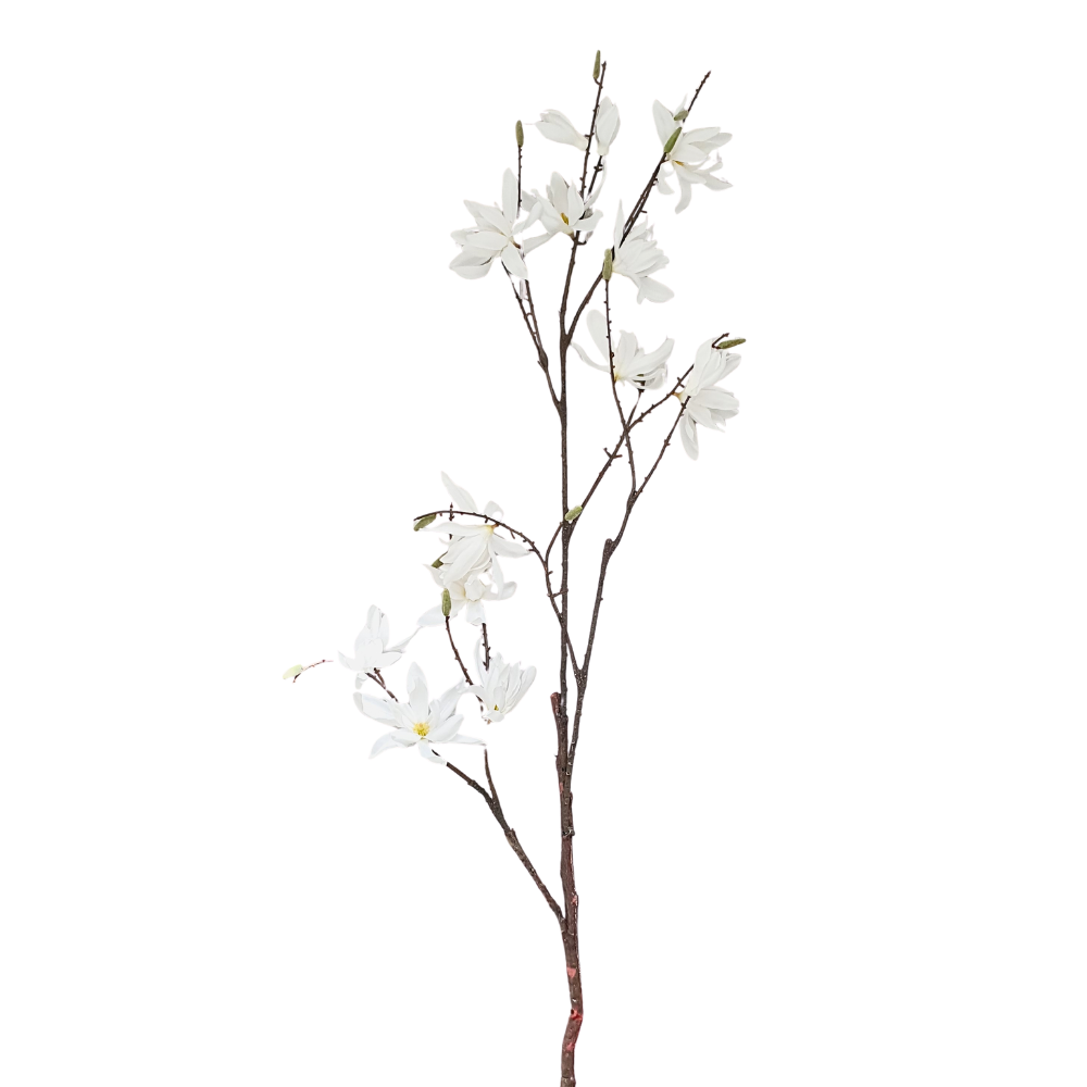 Kunsttak magnolia