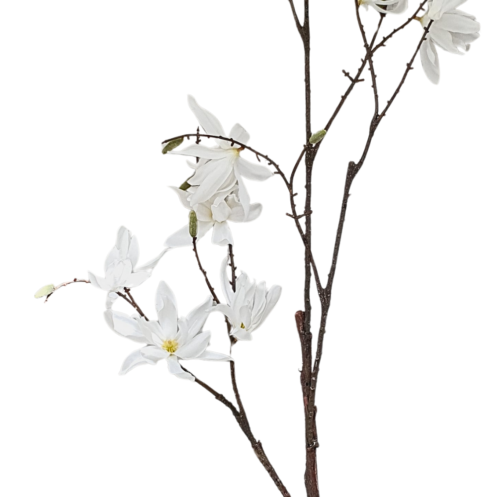 Kunsttak magnolia