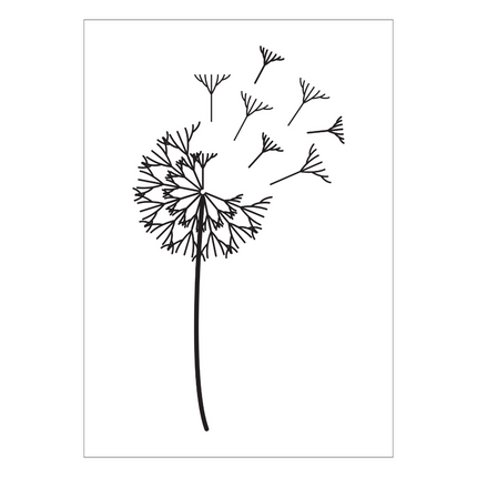 Poster A3 - paardebloem wit