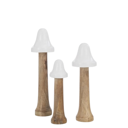 Set van 3 paddestoelen
