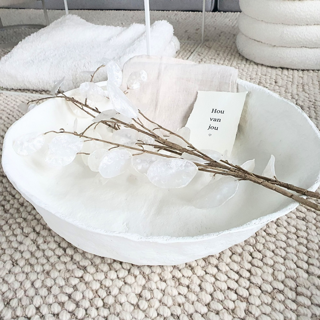 Papier-mache schaal XXL