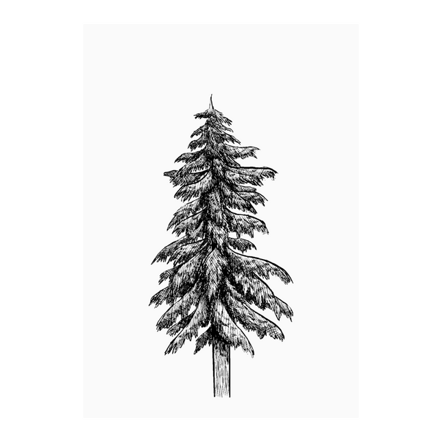 Kaart wit illustratie (kerst)boom