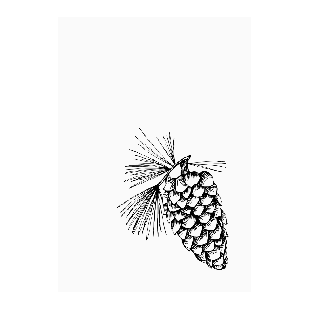 Kaart wit illustratie dennenappel