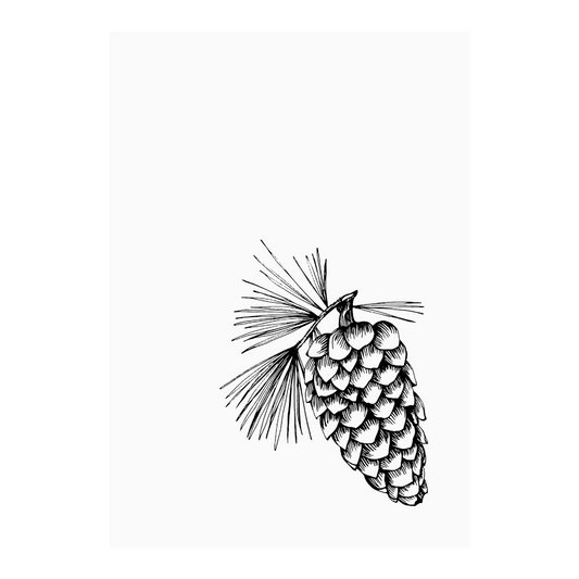 Kaart wit illustratie dennenappel