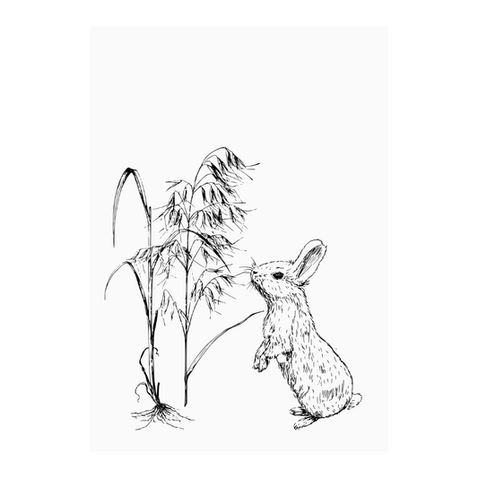 Kaart wit illustratie konijn